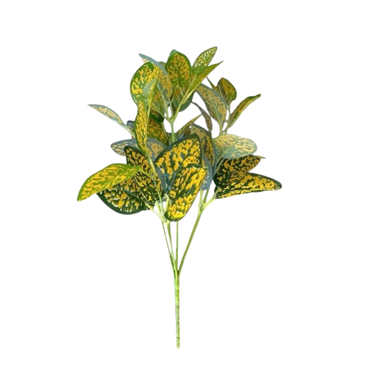 Bunch Leaf D/s Green Yellow (Pack of 5)