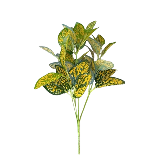 Bunch Leaf D/s Green Yellow (Pack of 5)