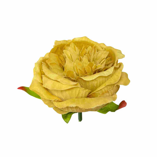 Golden Diamond Peony (Pack of 50)