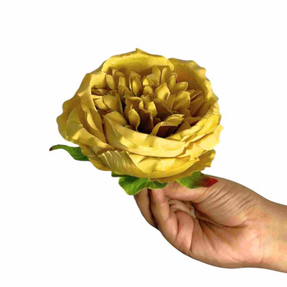 Golden Diamond Peony (Pack of 50)