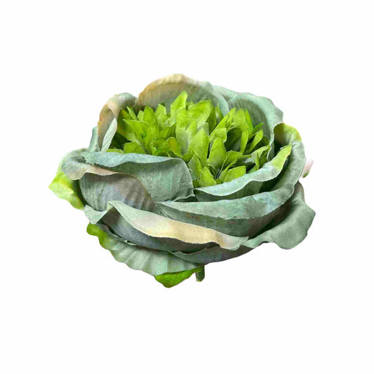 Green Diamond Peony (Pack of 50)