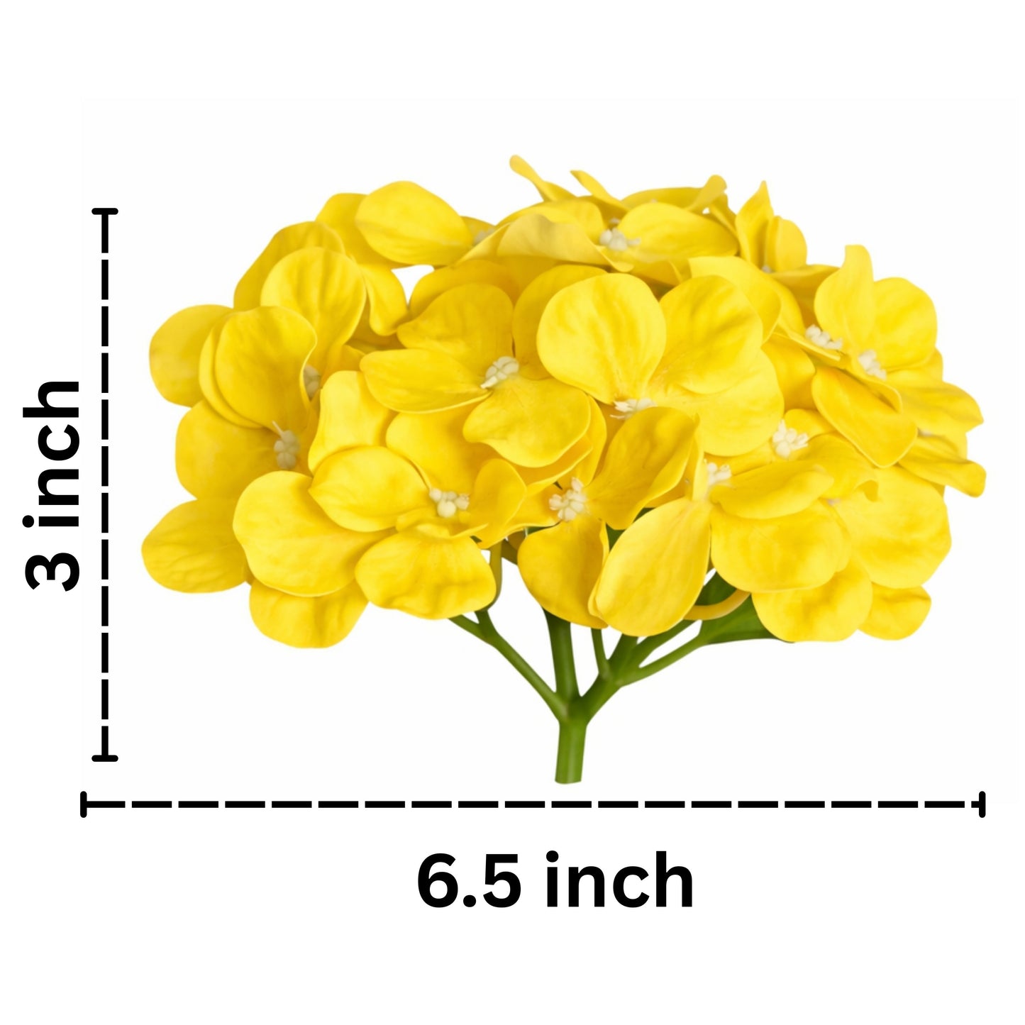 Yellow Flr Hydrangea 27 Petals (Pack of 100)