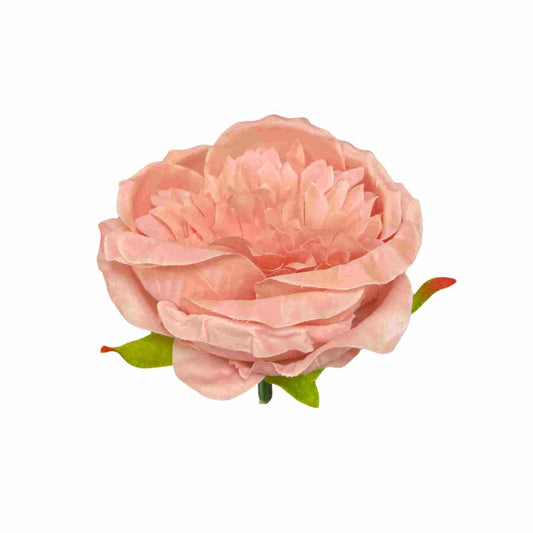 Light Onion Pink Diamond Peony (Pack of 50)