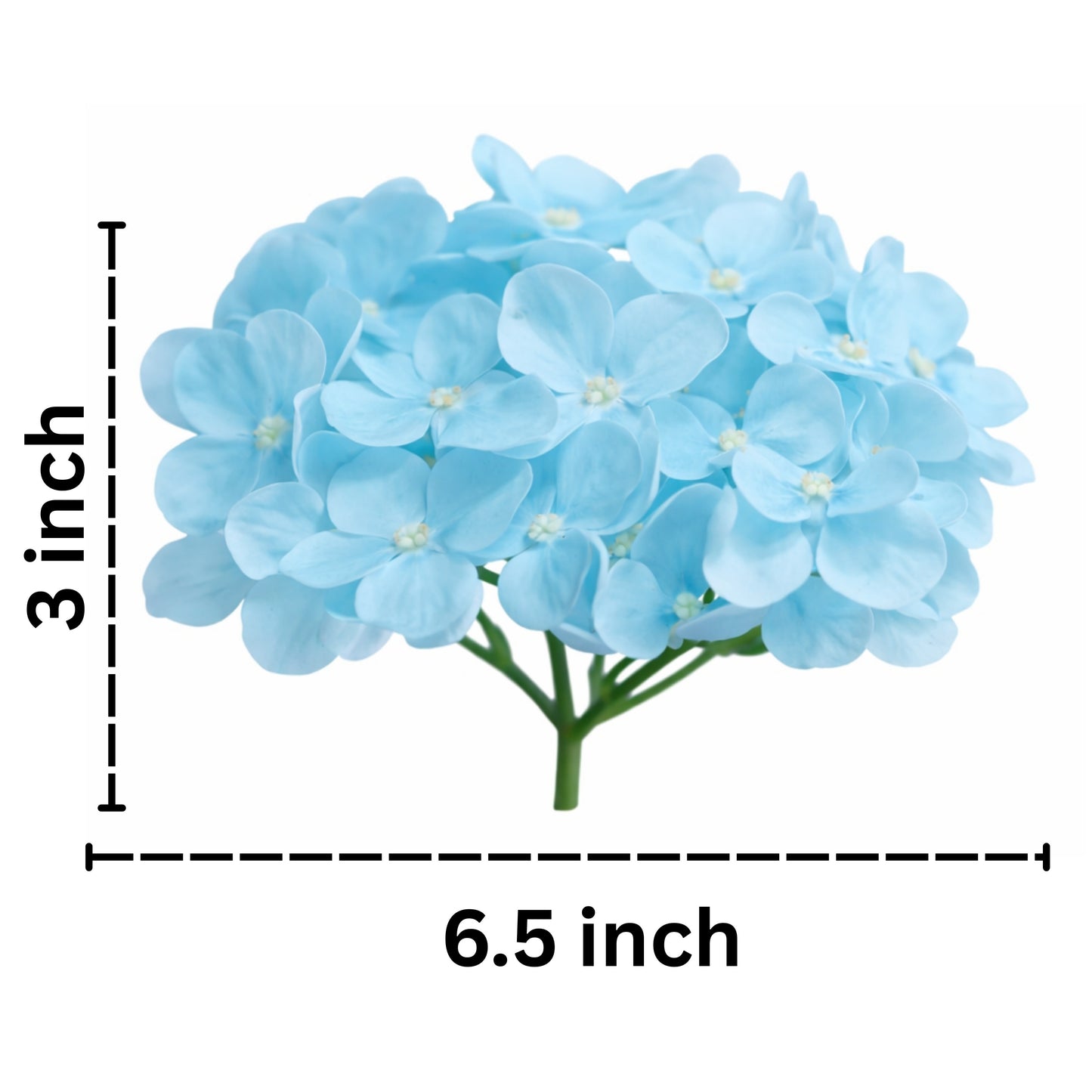 Sky Blue Flr Hydrangea 27 Petals (Pack of 100)