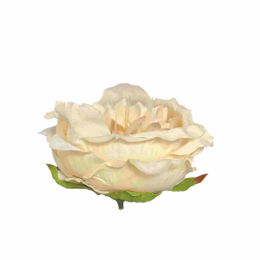 Light Peach Brown Diamond Peony (Pack of 50)