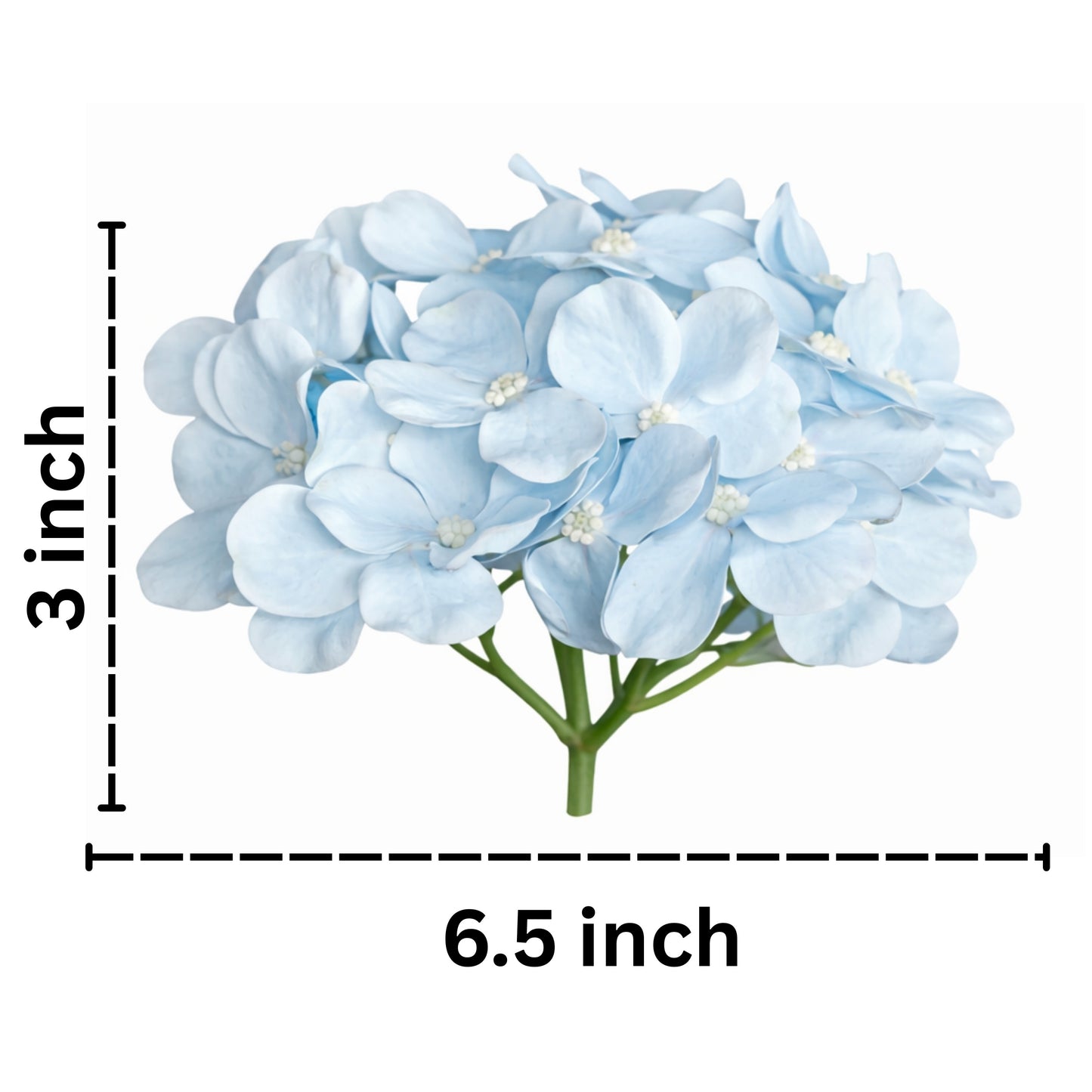 Sea Green Flr Hydrangea 27 Petals (Pack of 100)