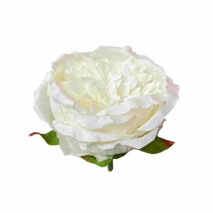 Off White Diamond Peony (Pack of 50)