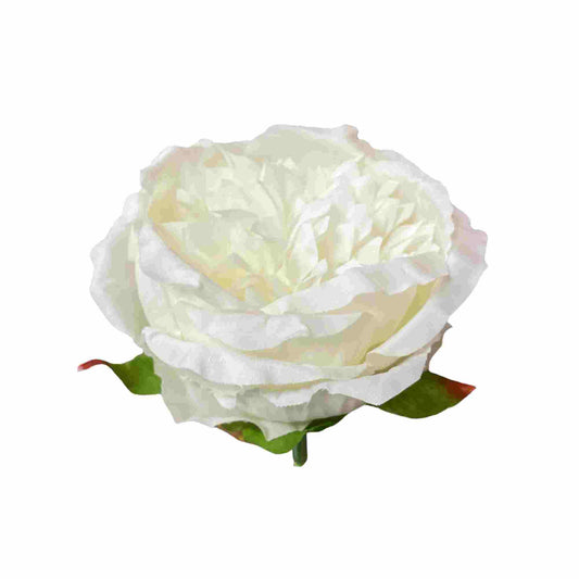 Off White Diamond Peony (Pack of 50)