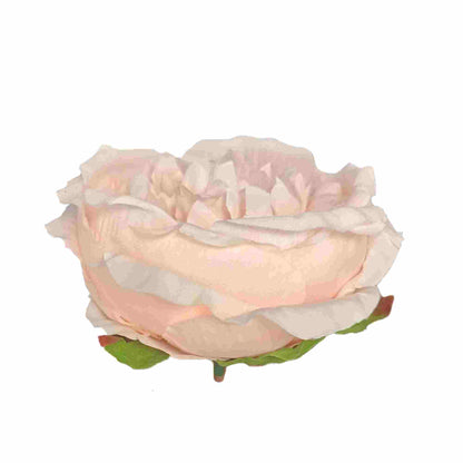 Peach Pink Diamond Peony (Pack of 50)