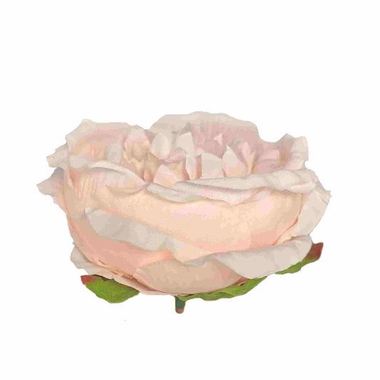 Peach Pink Diamond Peony (Pack of 50)