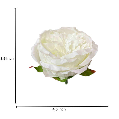 Off White Diamond Peony (Pack of 50)