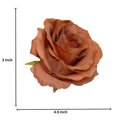Brown MR20 Rose (Pack of 50)