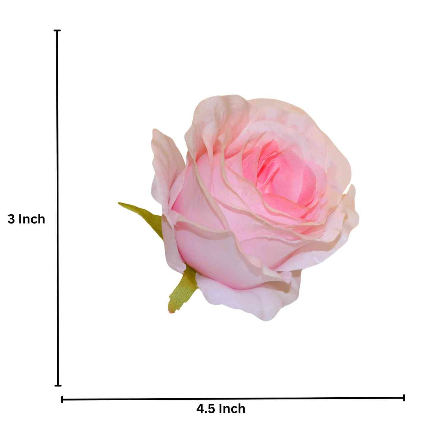 Cream MR20 Rose (Pack of 50)