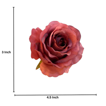 New Mehroom white MR20 Rose (Pack of 50)
