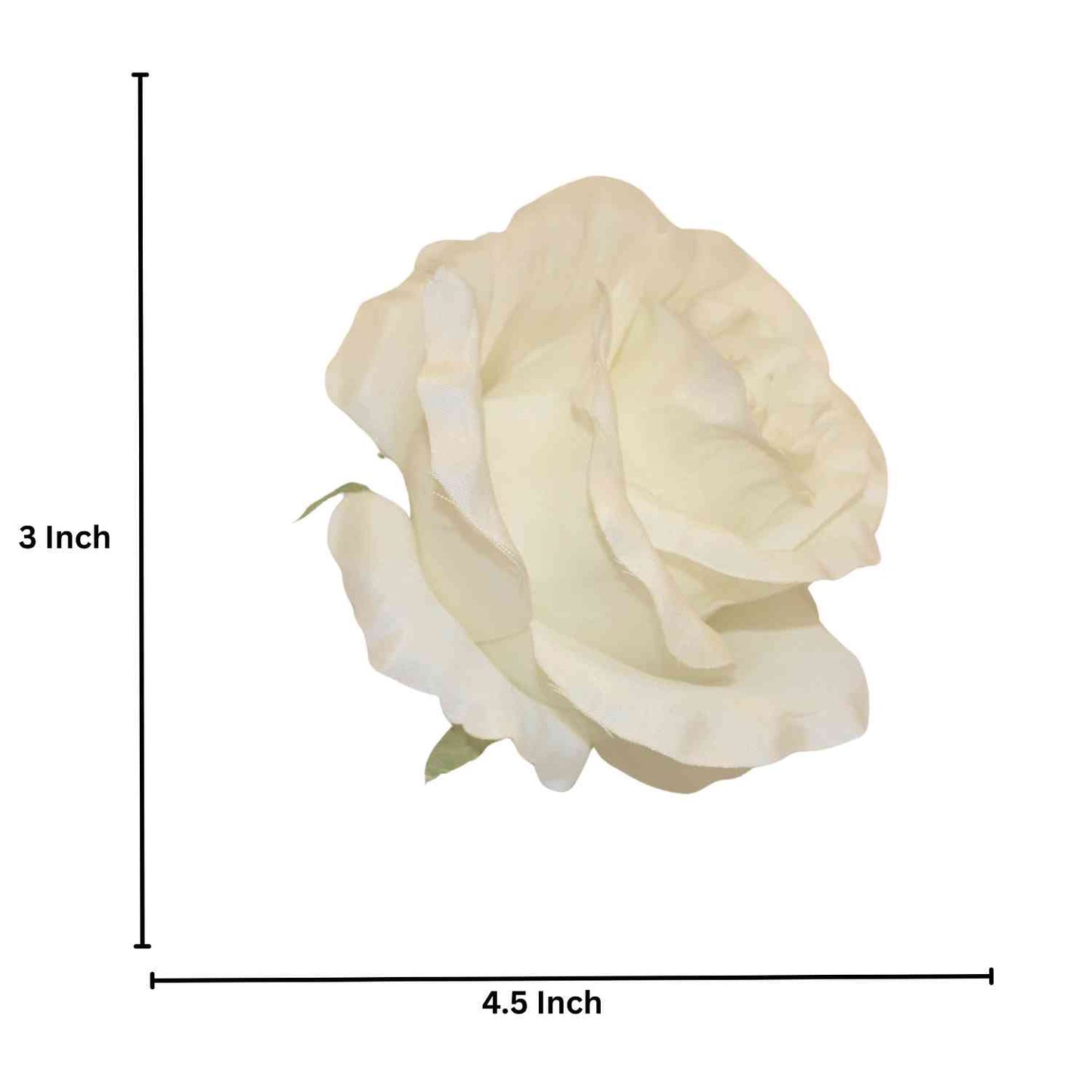 New off White MR20 Rose (Pack of 50)