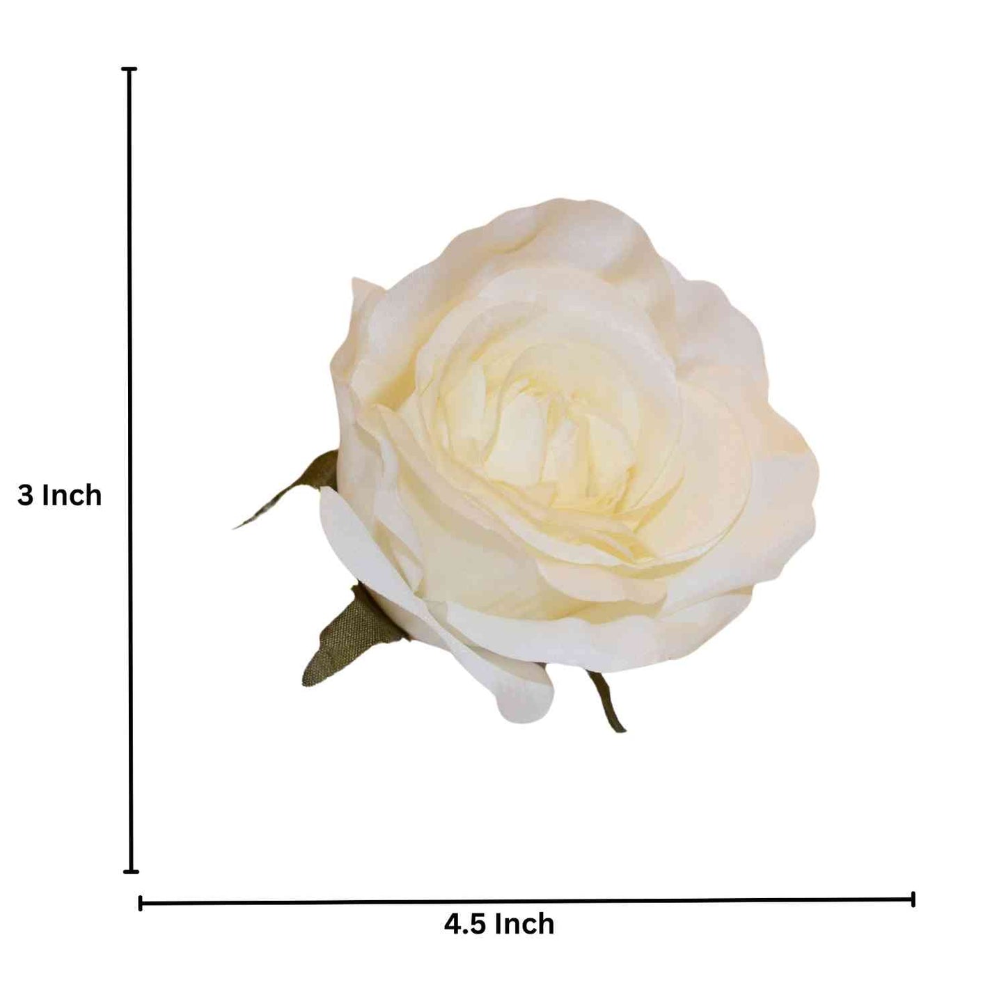 D/S white MR20 Rose (Pack of 50)
