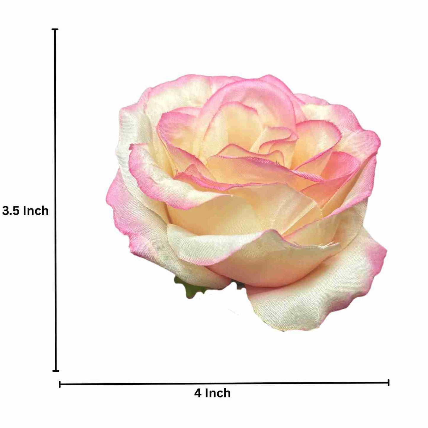 Light Magenta Cream MR10 Rose (Pack of 90)