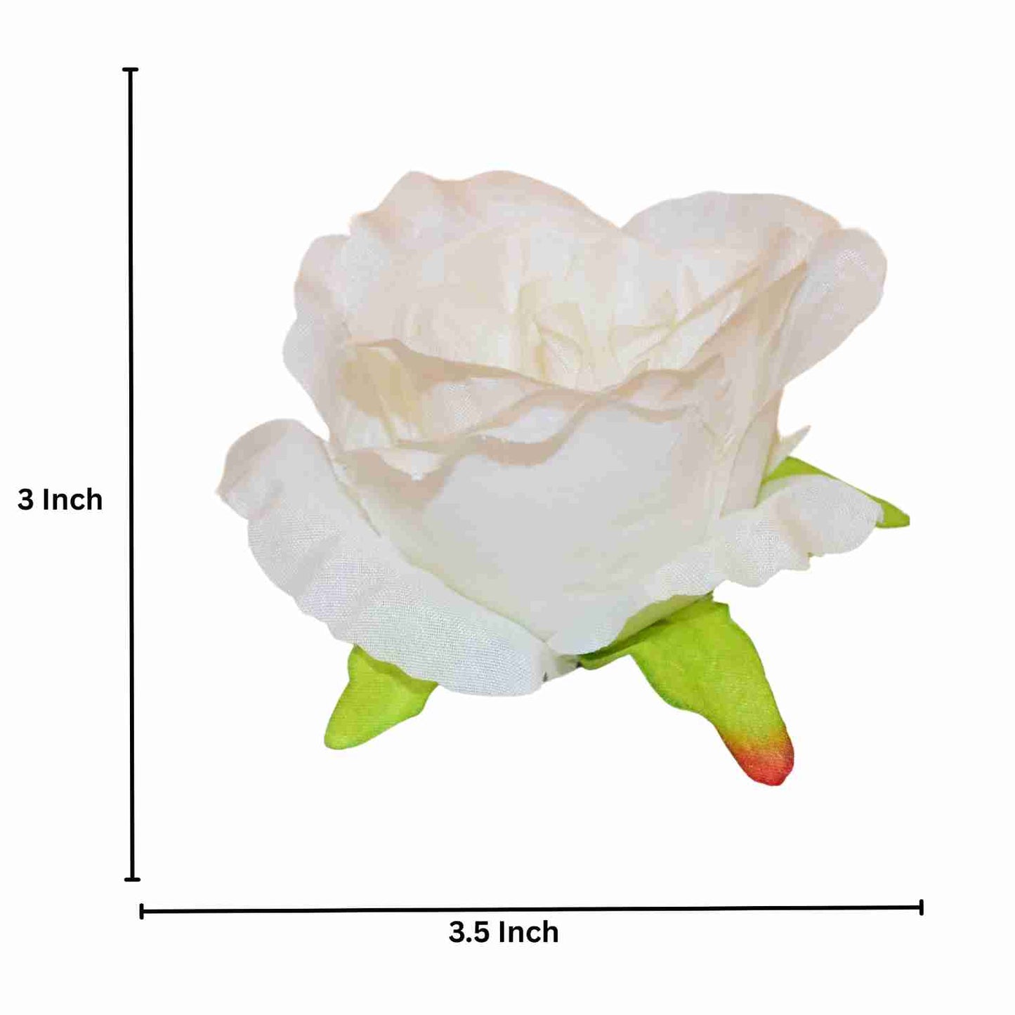Off White MR7 Rose (Pack of 100)