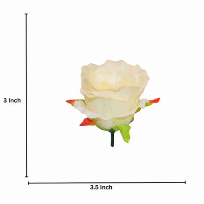 Cream MR7 Rose (Pack of 100)