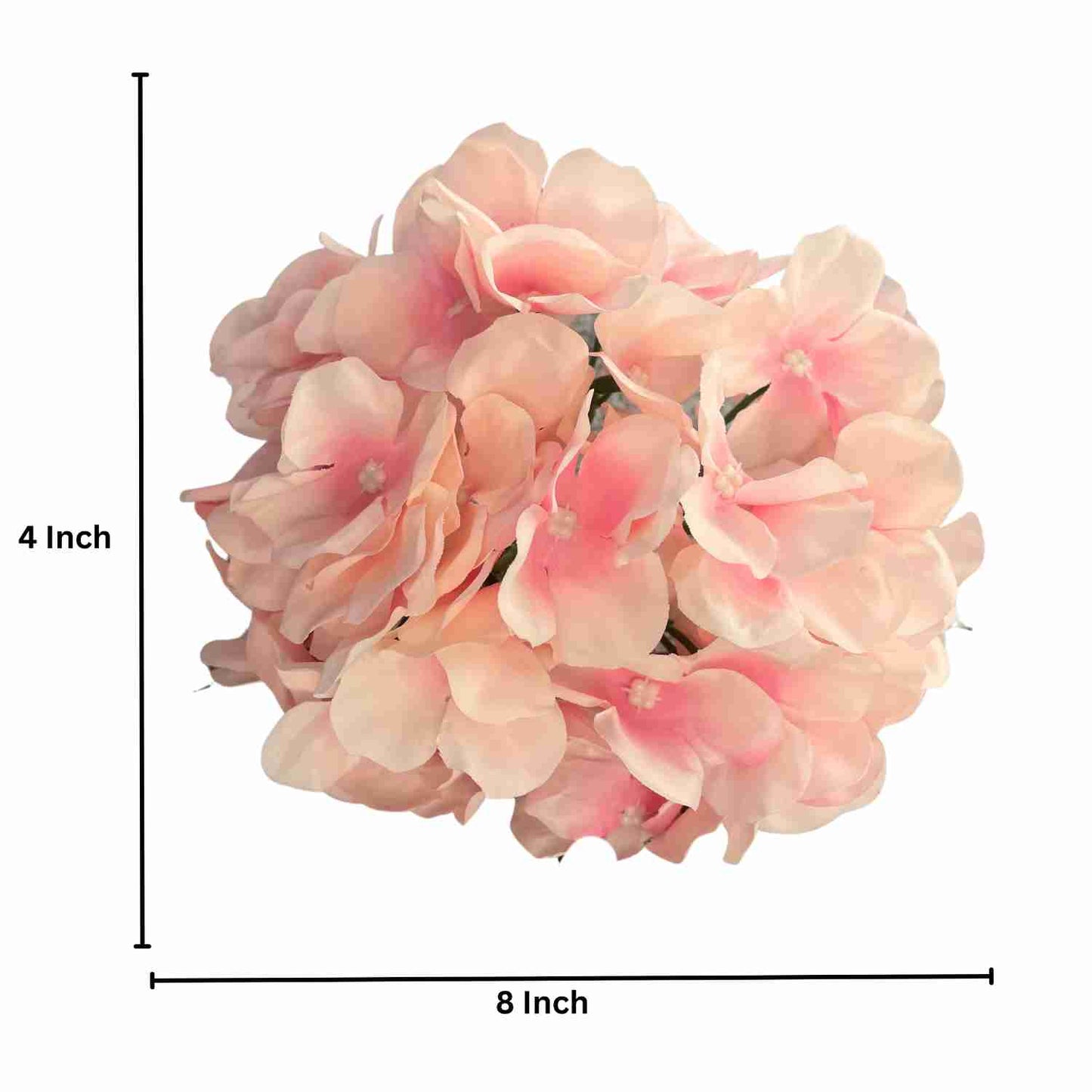 Light Pink Pink Flr Hydrangea 54 Petals (Pack of 50)