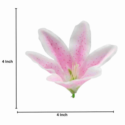 Light Pink White Flr Lily Head ( Pack of 100)