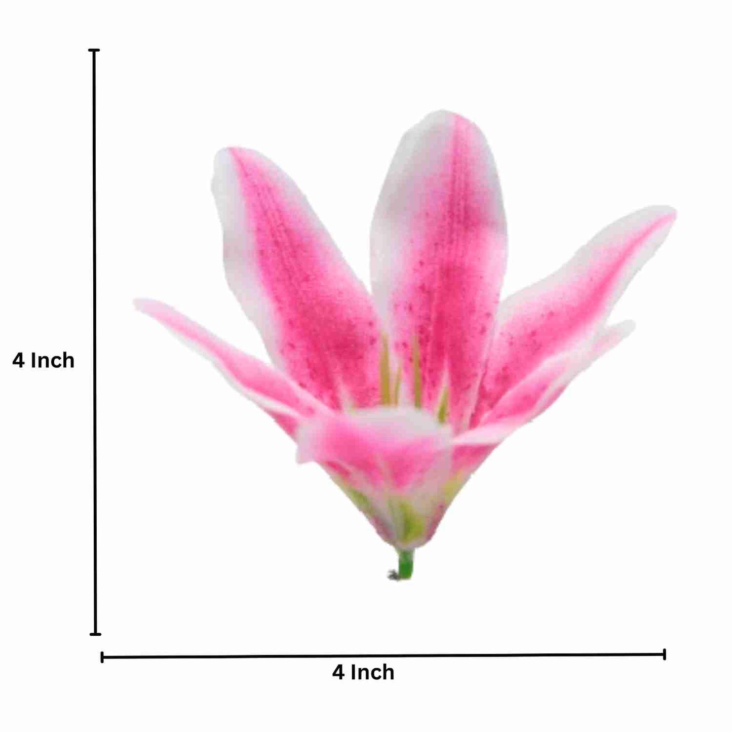 Magenta White Flr Lily Head ( Pack of 100)
