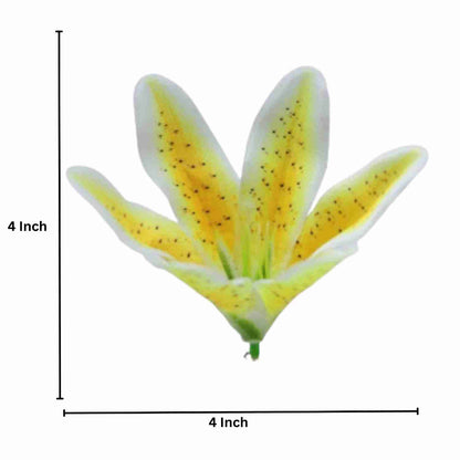 Yellow White Flr Lily Head ( Pack of 100)
