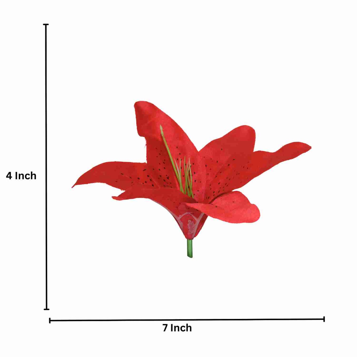 Red Flr Lily Head ( Pack of 100)