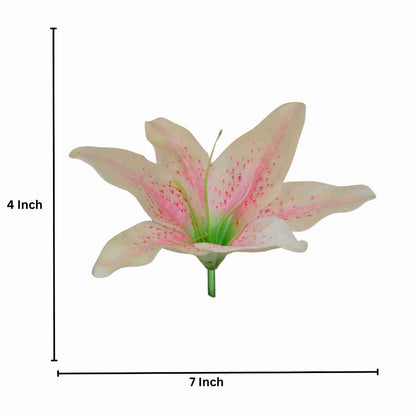 Light Peach Pink Flr Lily Head ( Pack of 100)
