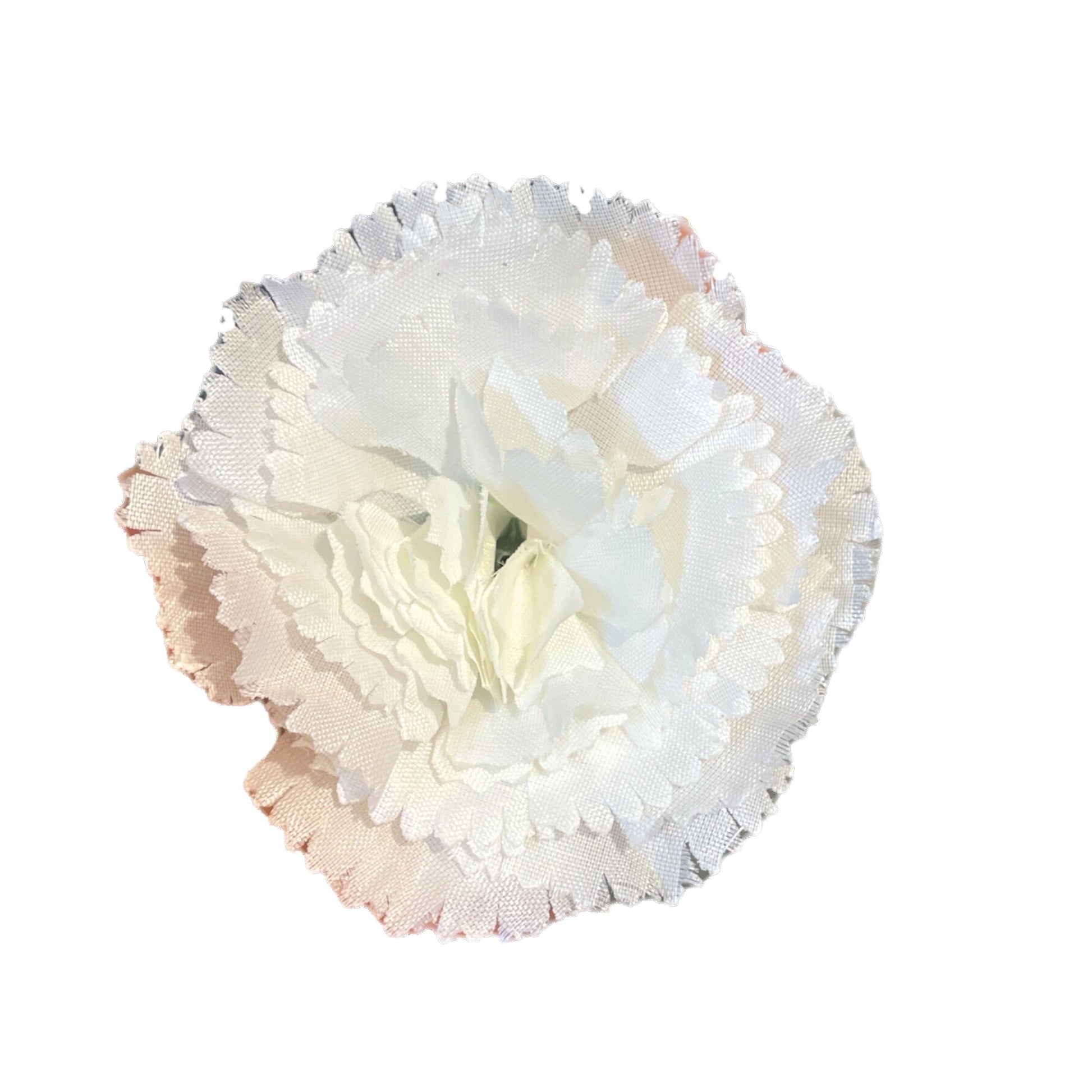 White carnation flower on a white background
