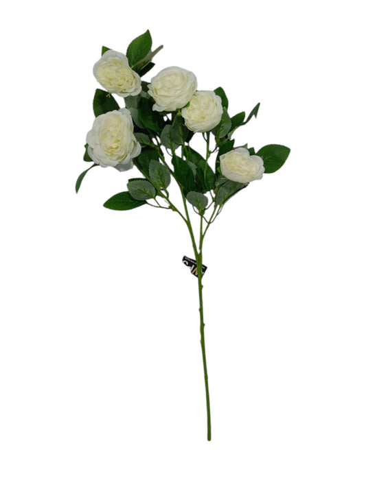 Peony Stick 5 Head 60" D/S Cream Pink (Pack of 10)