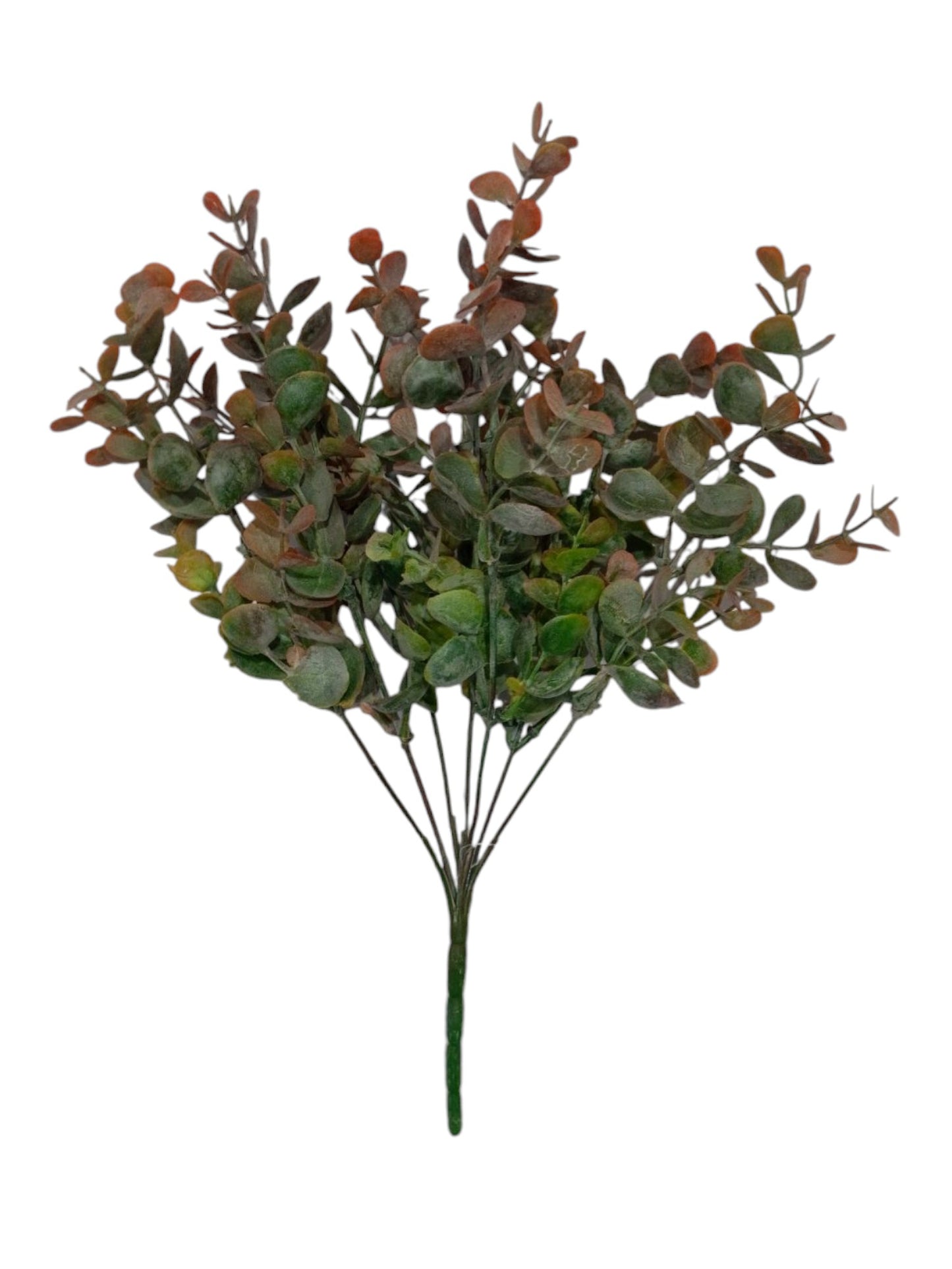 Eucalyptus Bunch 30cm D/s Green Red (Pack of 5)