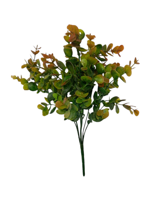 Eucalyptus Bunch 30cm D/s Green Brown (Pack of 5)