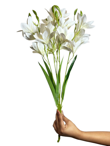 Bunch PU Lotus 5 Stick 56cm White (Pack of 5)