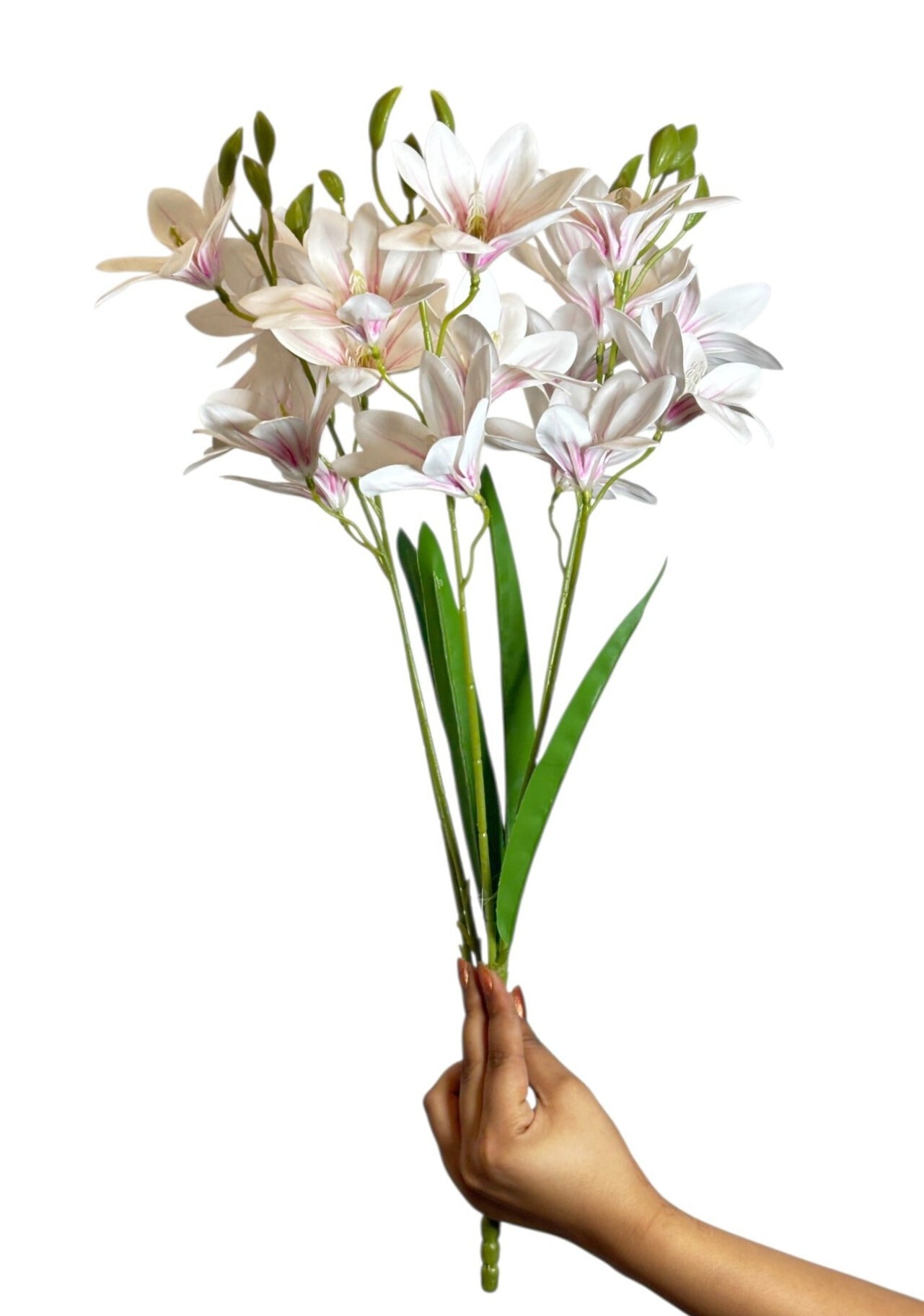 Bunch PU Lotus 5 Stick 56cm White Pink (Pack of 5)