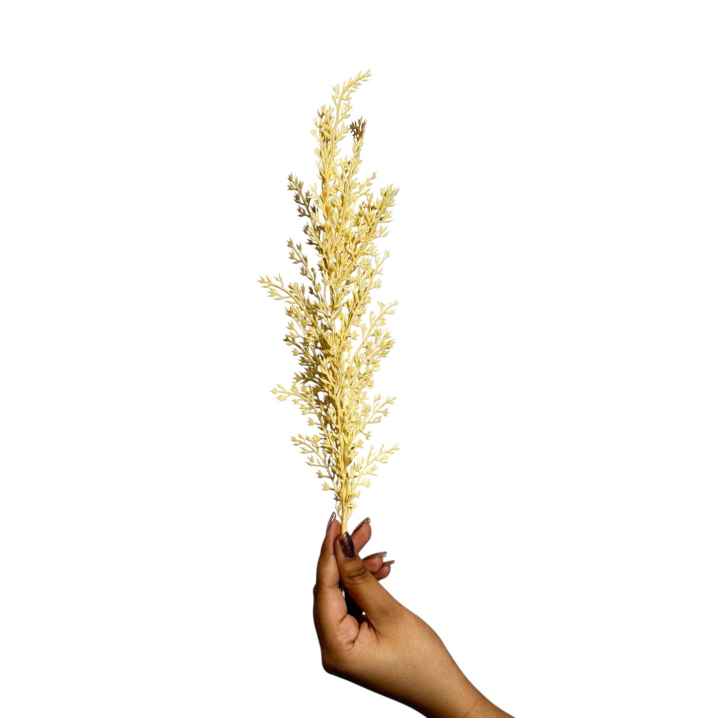 Ruscus Leaf Stick 14" Peach  (Pack of 10)
