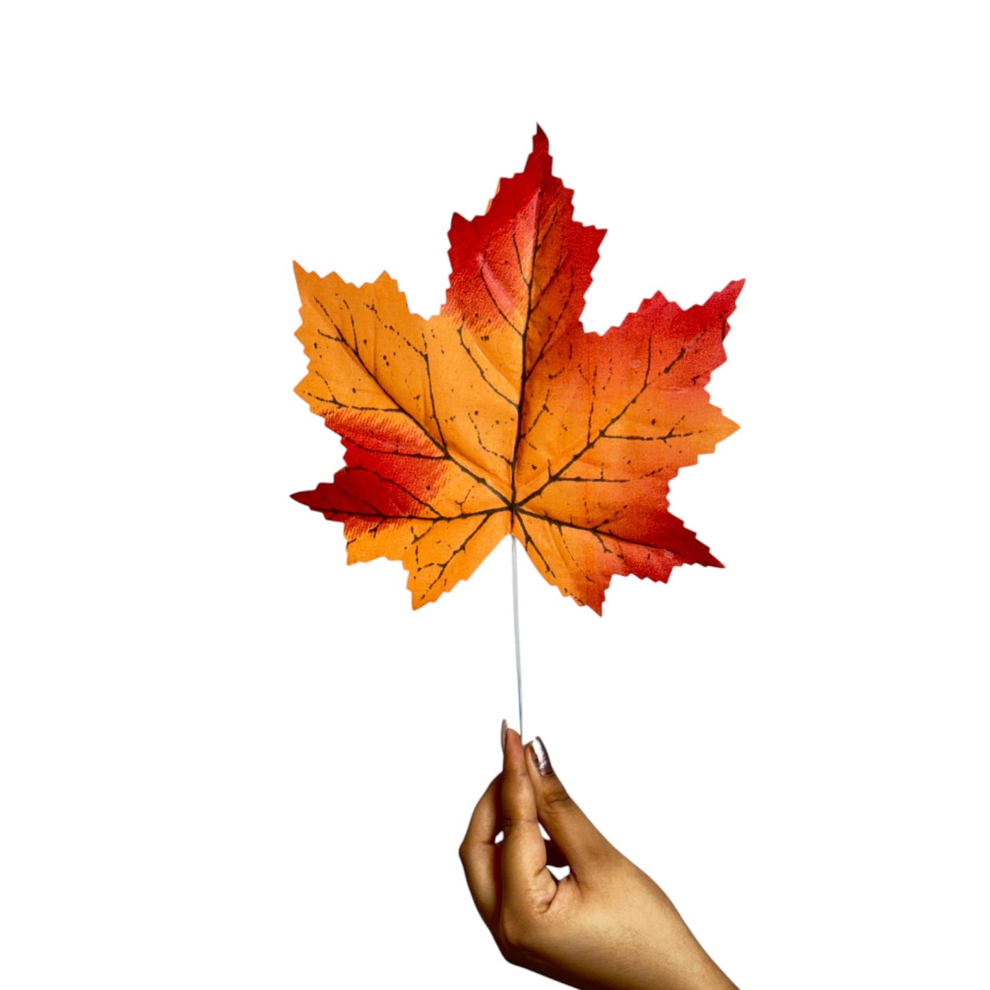 Mapple Leaf 15" Orange (Pack of 10)