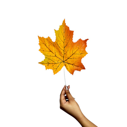 Mapple Leaf 15" Yellow (Pack of 10)