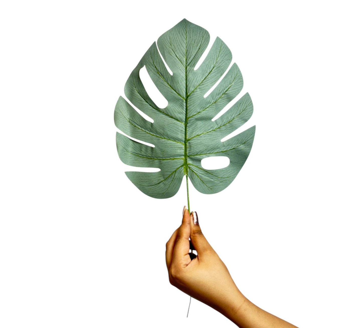 Monstera Leaf Stick 15" Light Green  (Pack of 10)