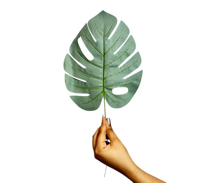 Monstera Leaf Stick 15" Light Green  (Pack of 10)