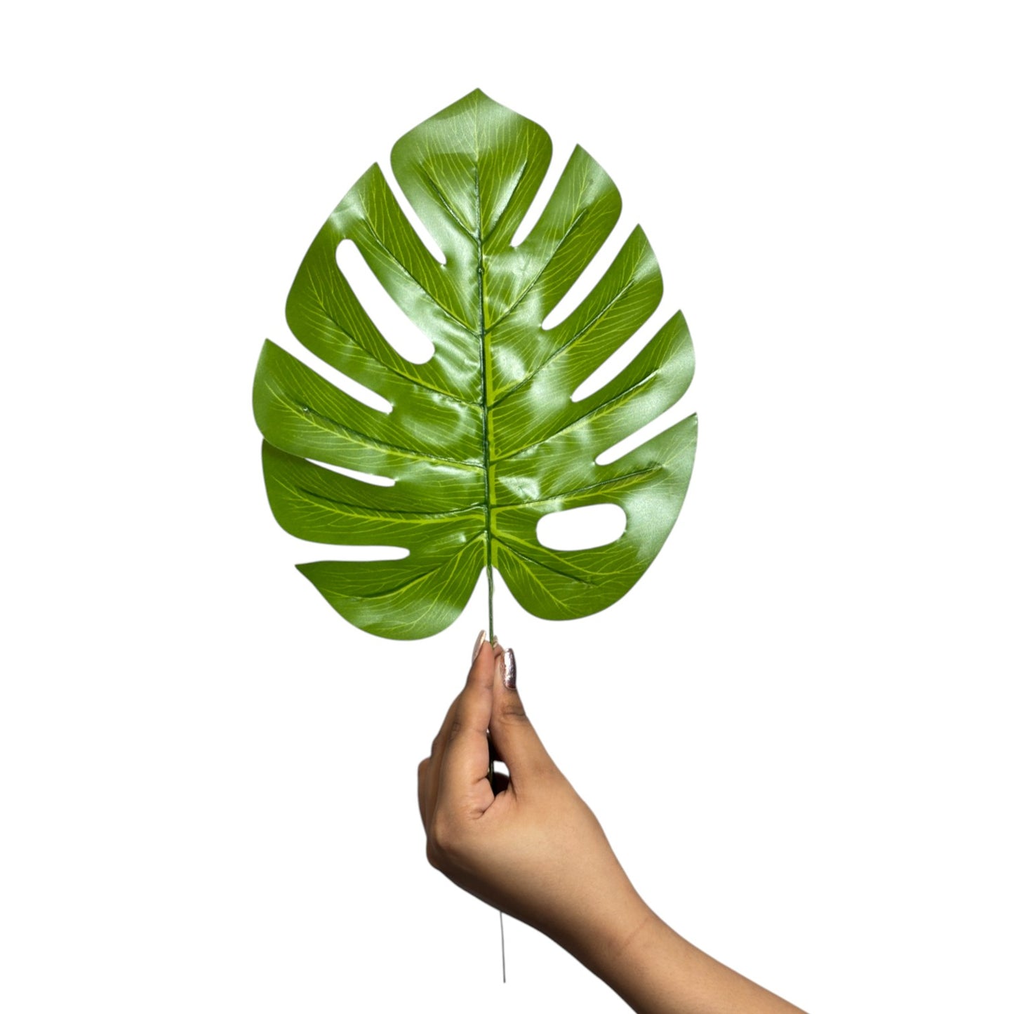Monstera Leaf Stick 15" Green  (Pack of 10)