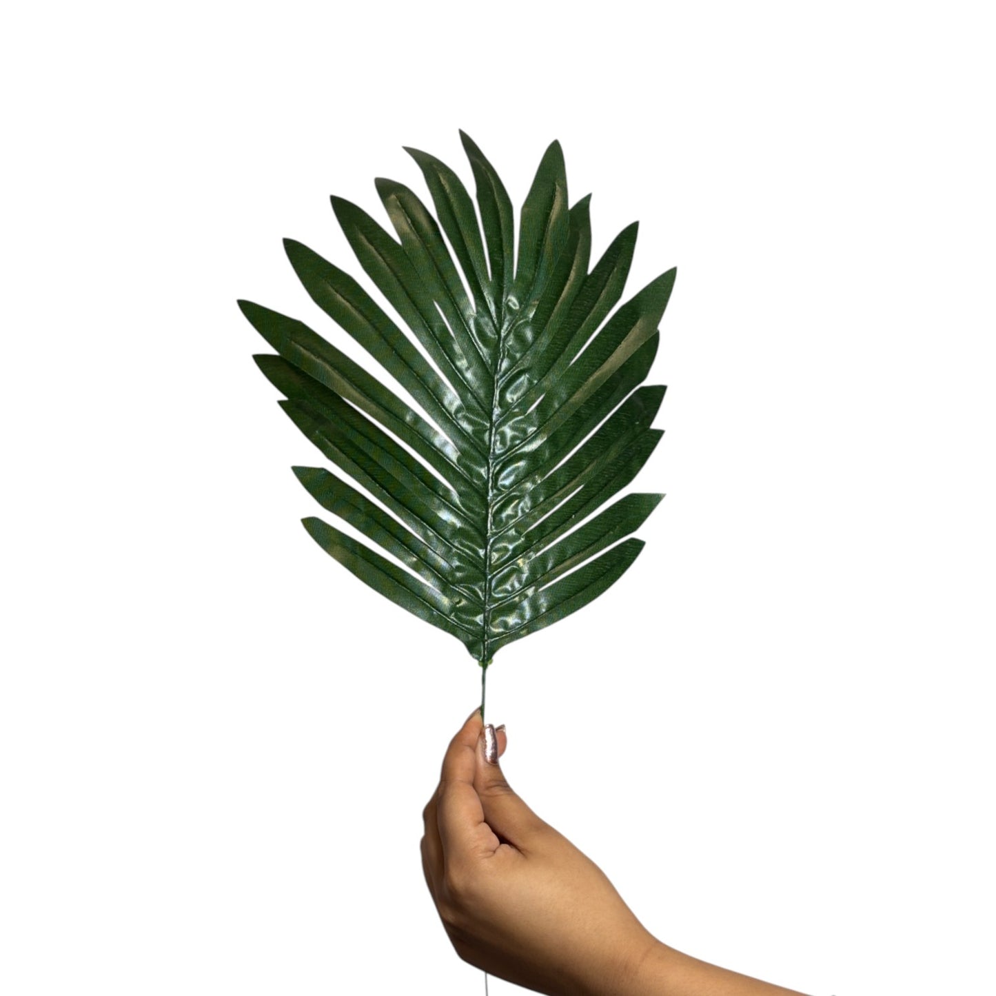 Palm Leaf 18" X 9" Green (Pack of 10)
