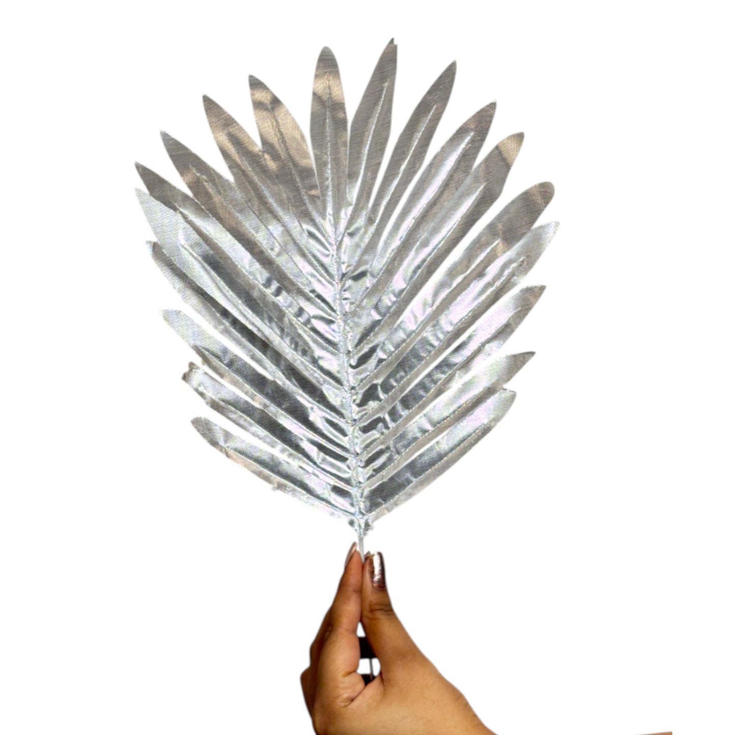 Palm Leaf 18" X 9" White (Pack of 10)
