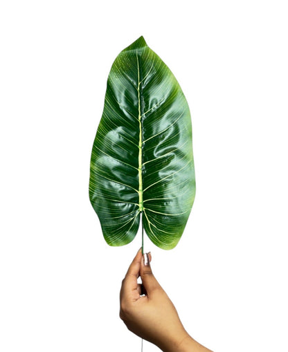 Banana Leaf 17" (Light) Green  (Pack of 10)