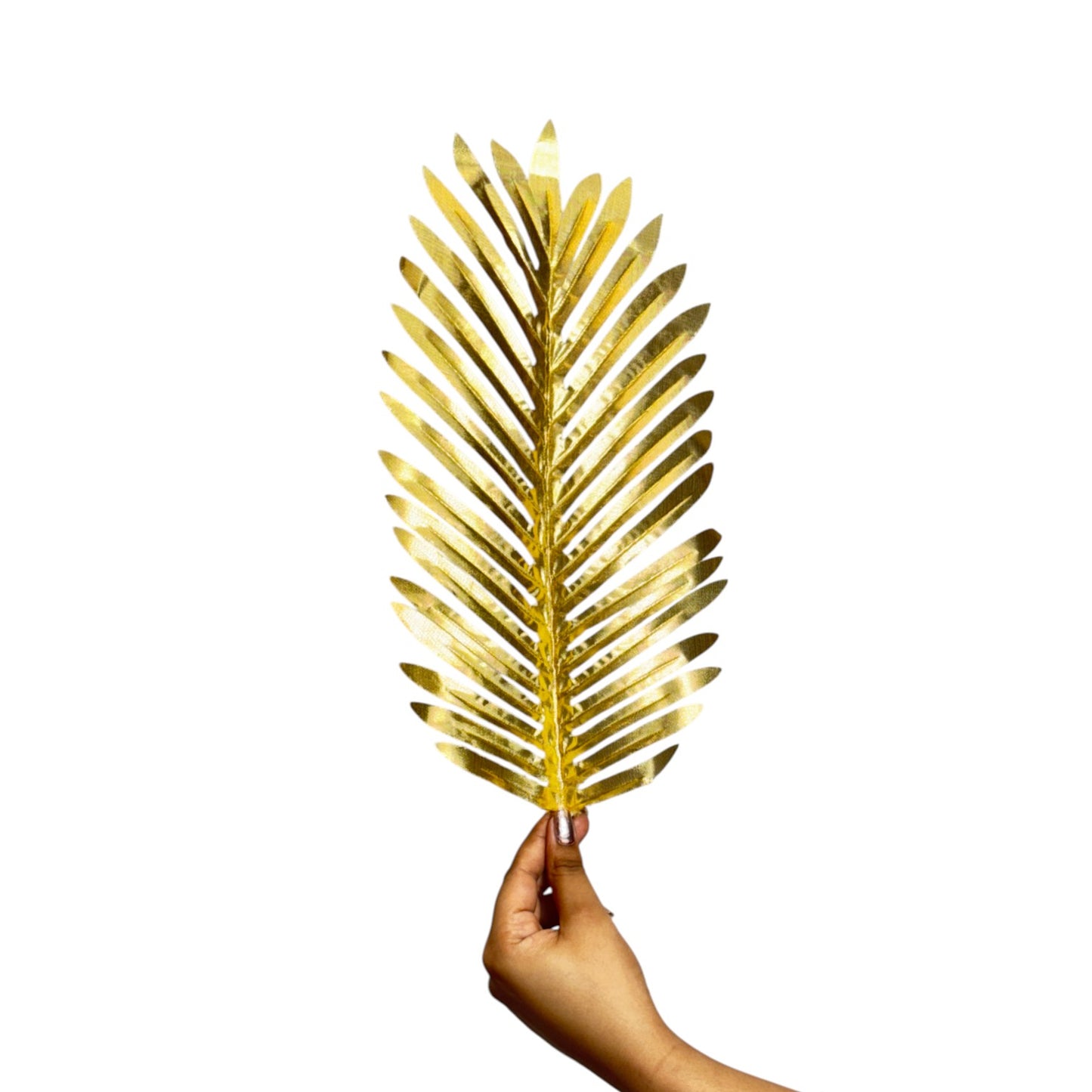 Palm Leaf 20" x 7" Golden (Pack of 10)