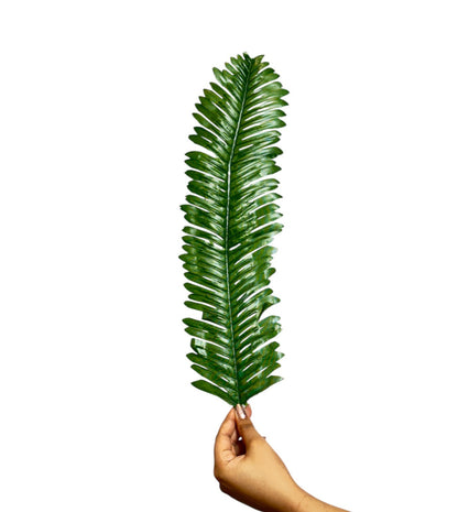 Palm Leaf Stick Big21 X 5''  Green (Pack of 10)