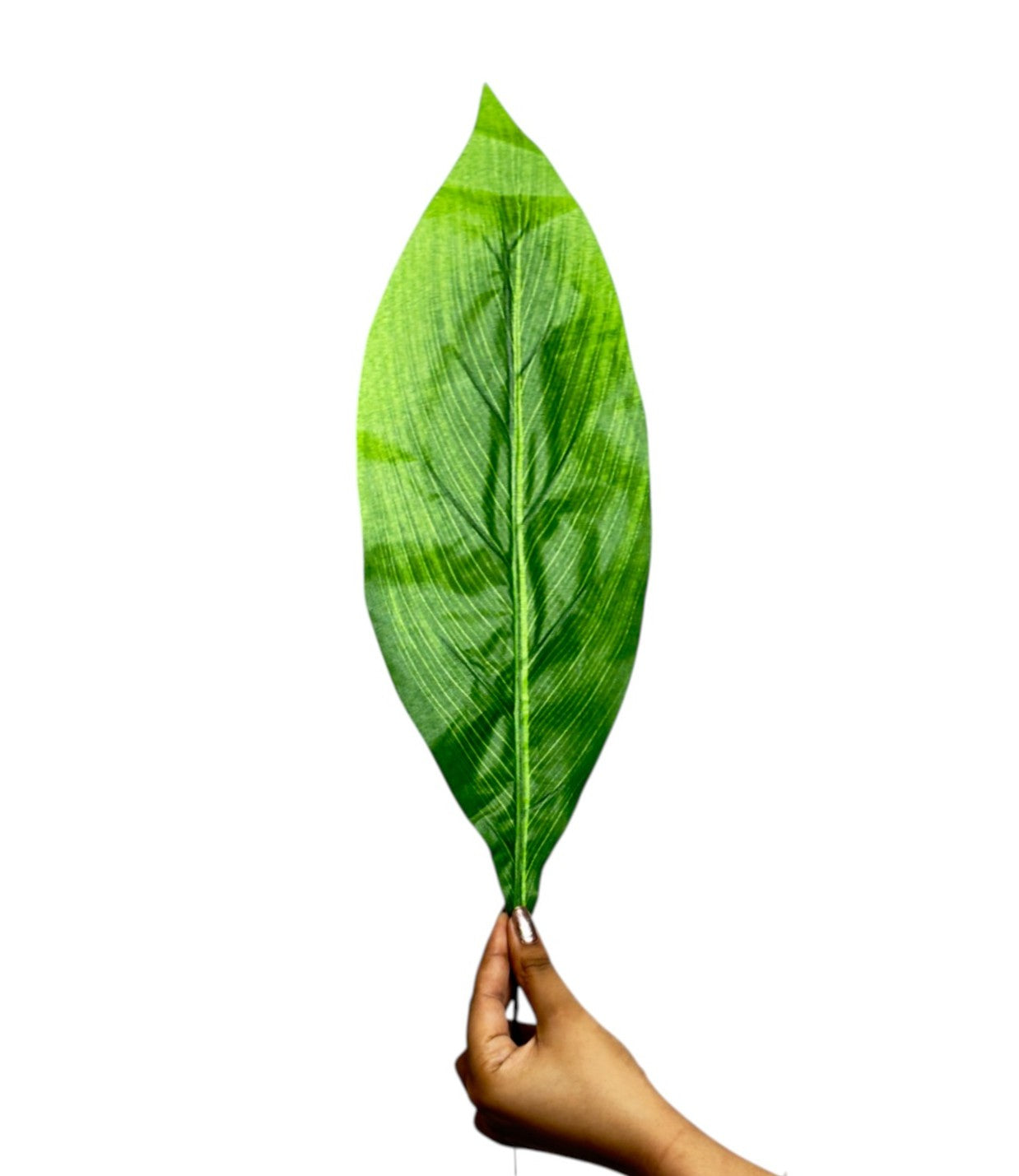 Badam Leaf 21" x 6" Green (Pack of 10)