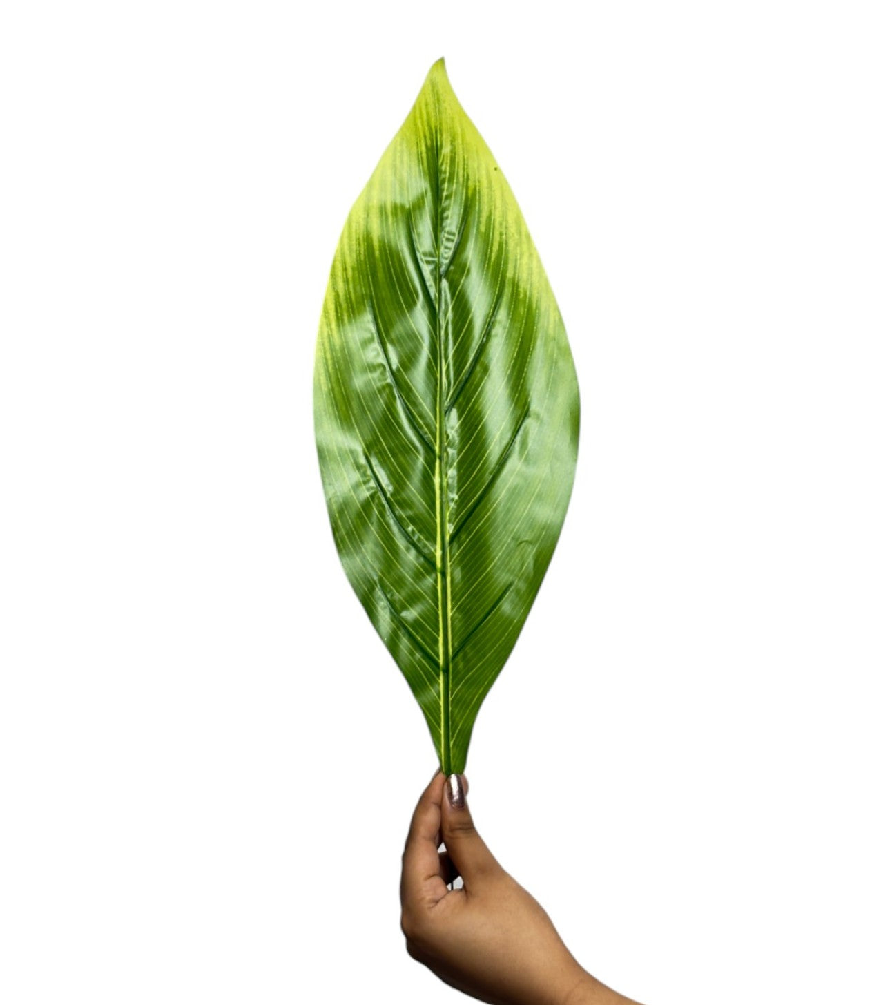 Badam Leaf 21" x 6" D/s Green (Pack of 10)
