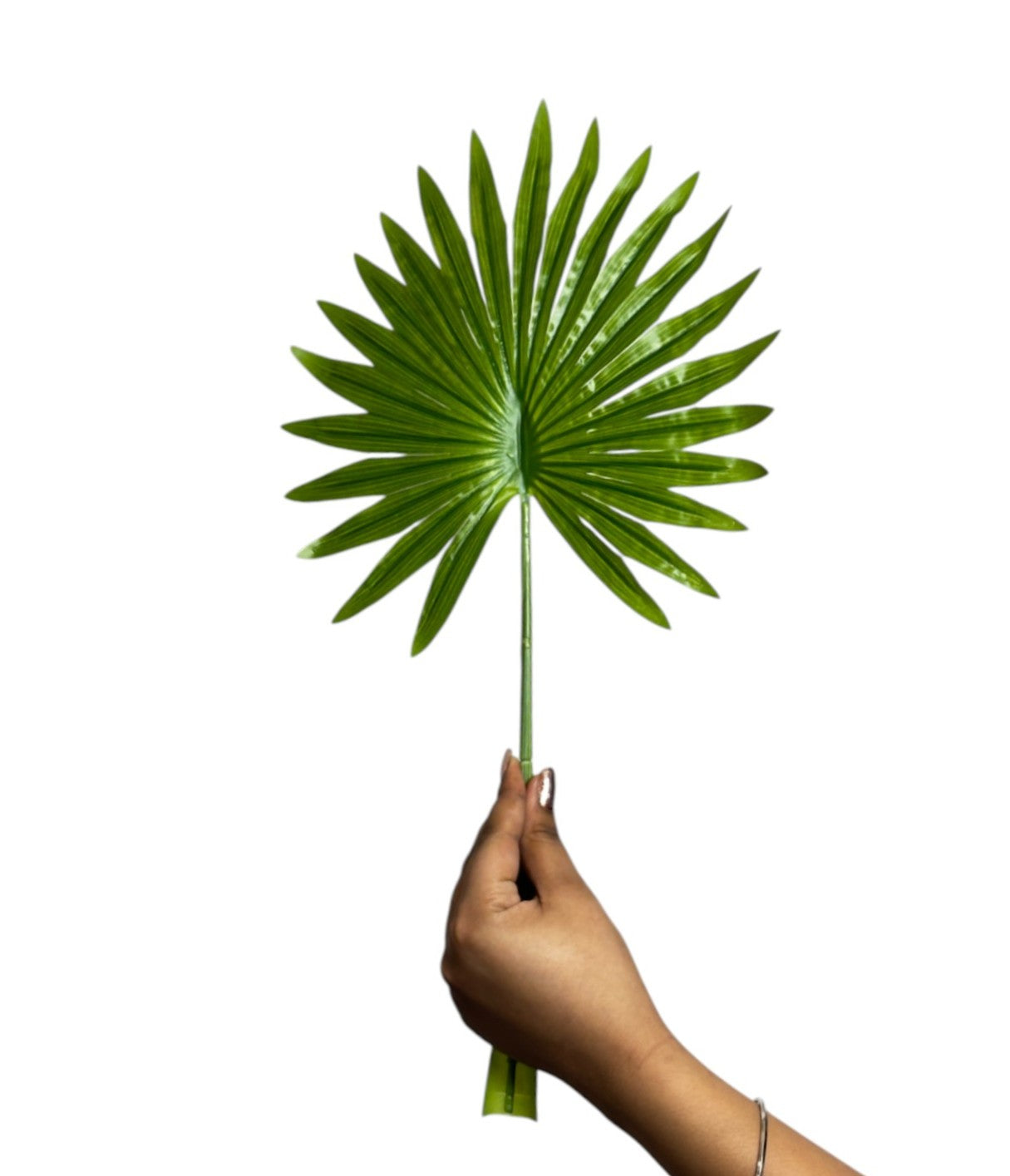 Palm Leaf Round 17" x 9" Green (Pack of 10)