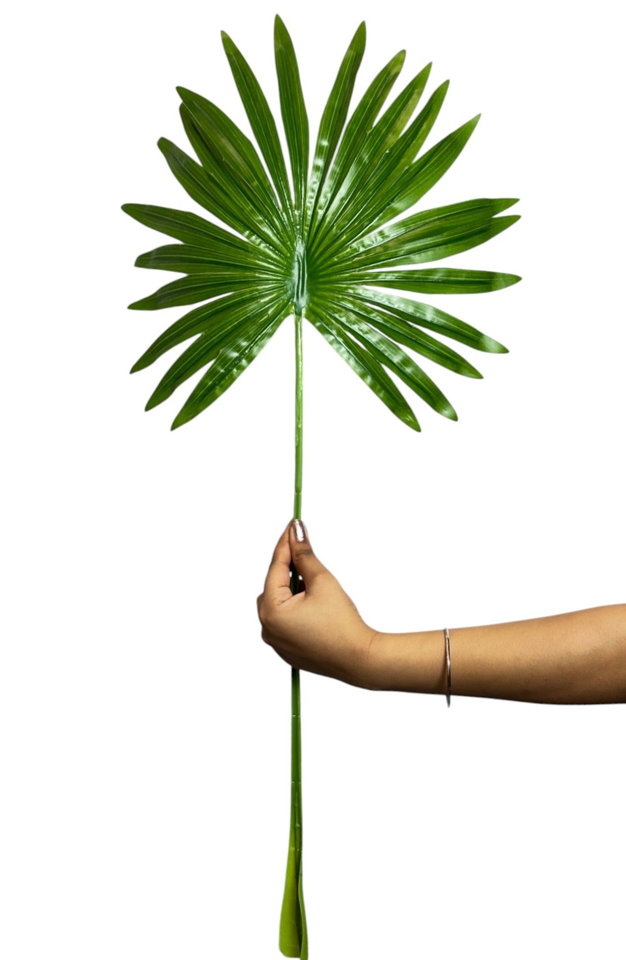 Palm Leaf Round 30" x 15" Green (Pack of 10)